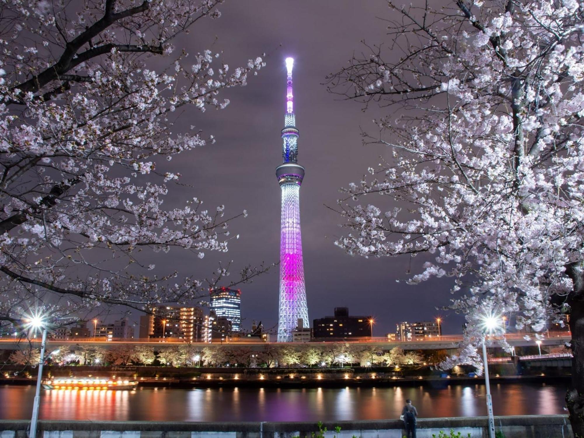 Rakuten Stay Tokyo Asakusa Twin Room Экстерьер фото